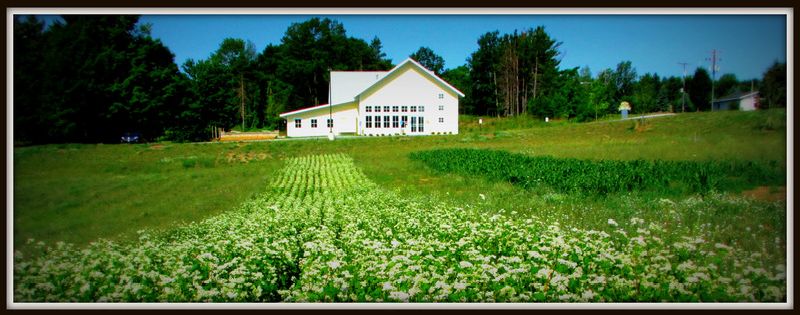Brewery Terra Firma
